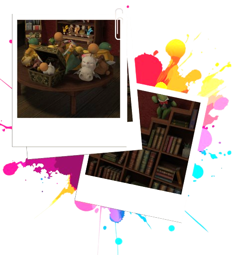 Polaroids pictures of items in the shop